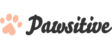 Anadolu Yakası Köpek Oteli